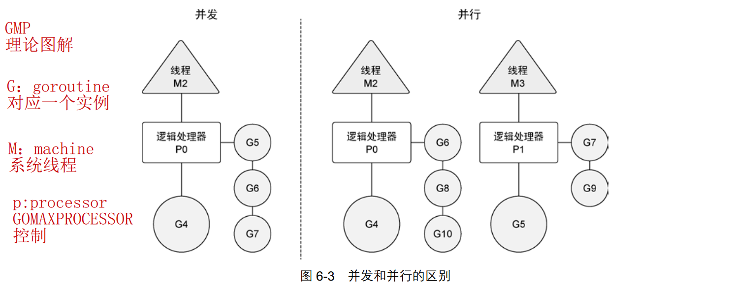 GMP 图解